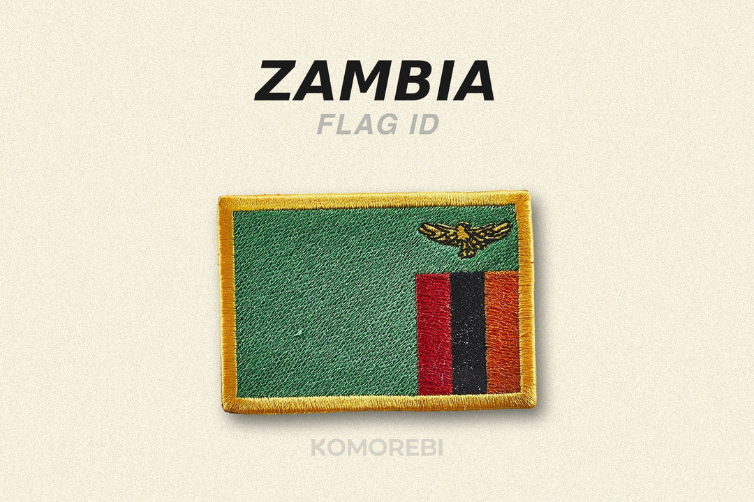 Zambie : Signification et Histoire