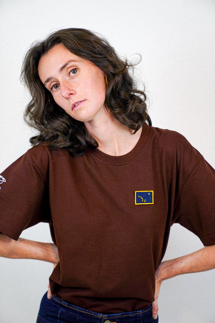 Alaska • T-shirt drapeau