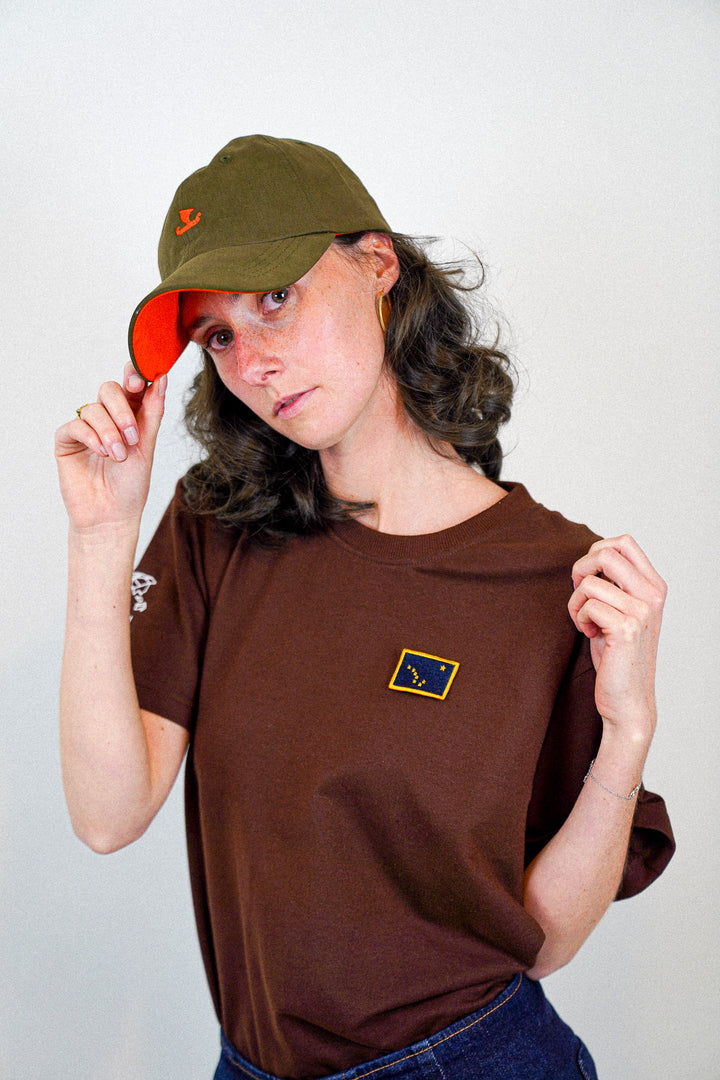 Alaska • T-shirt drapeau