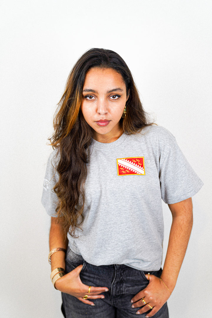 Alsace • T-shirt drapeau