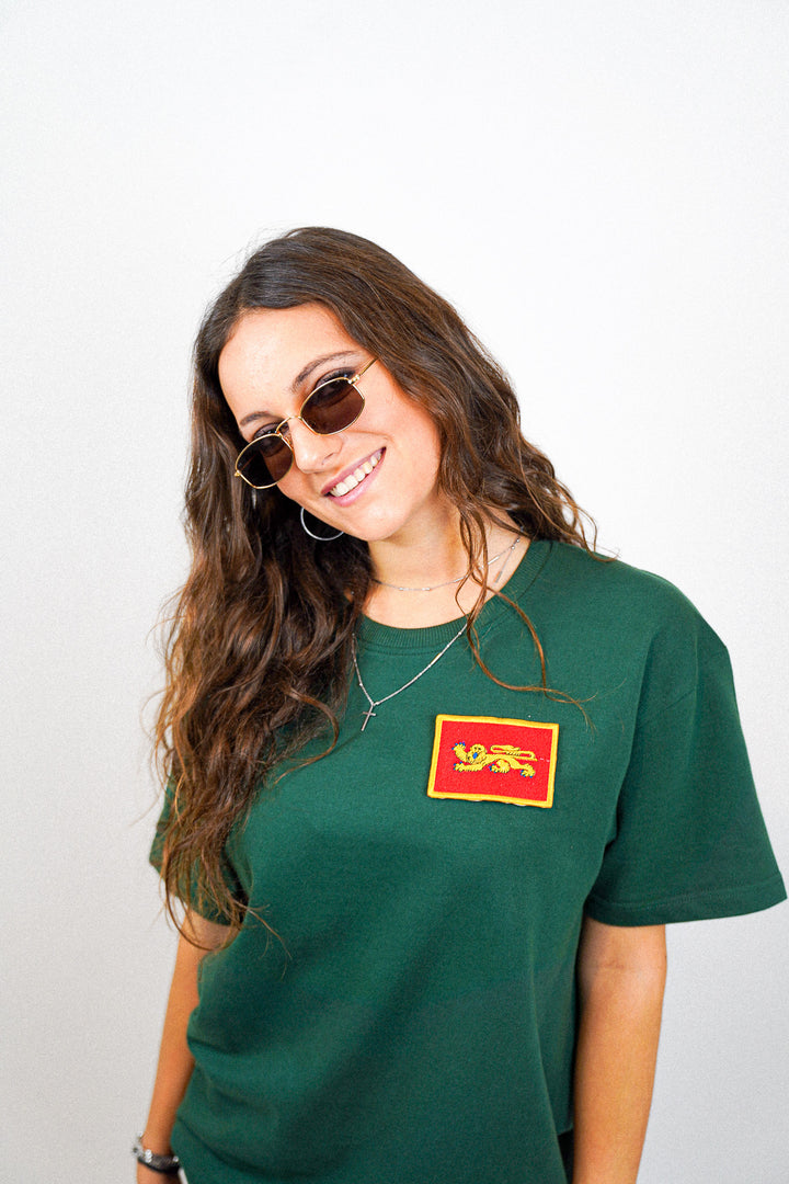 Aquitaine • T-shirt drapeau