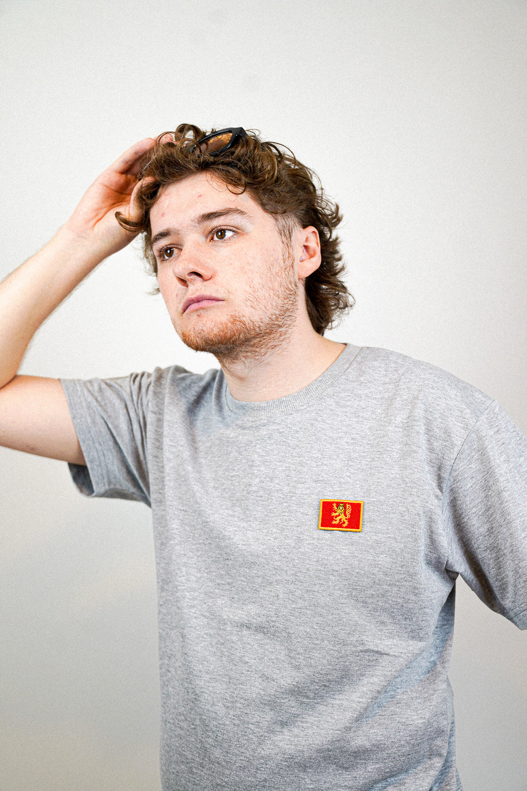 Aveyron • T-shirt drapeau