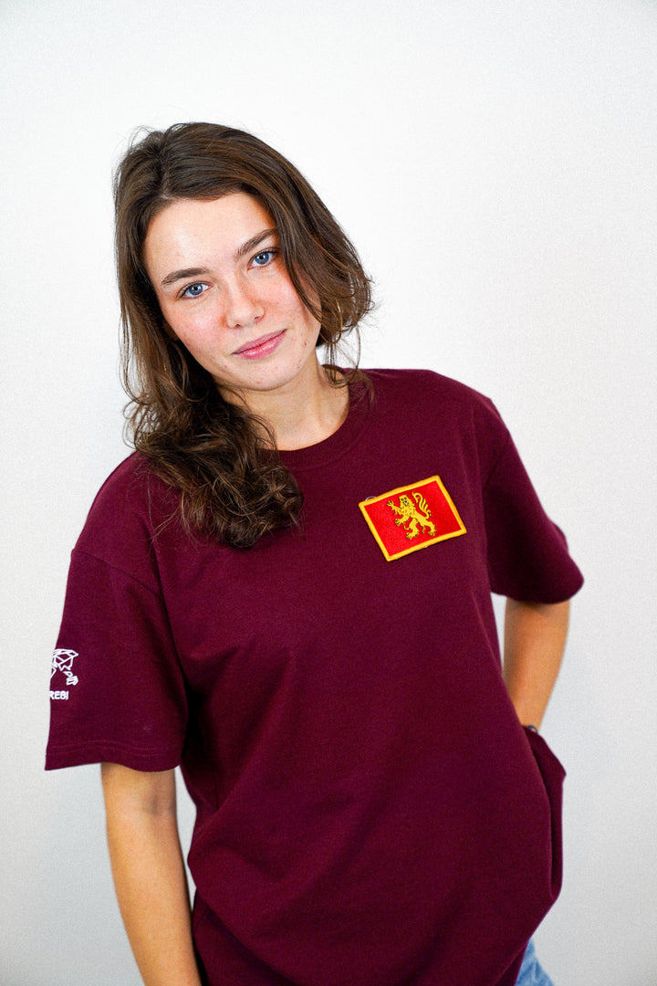 Aveyron • T-shirt drapeau