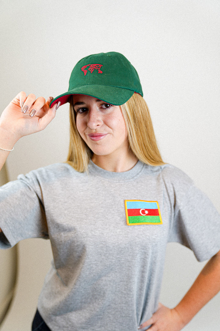 Azerbaijan • Flag T-shirt