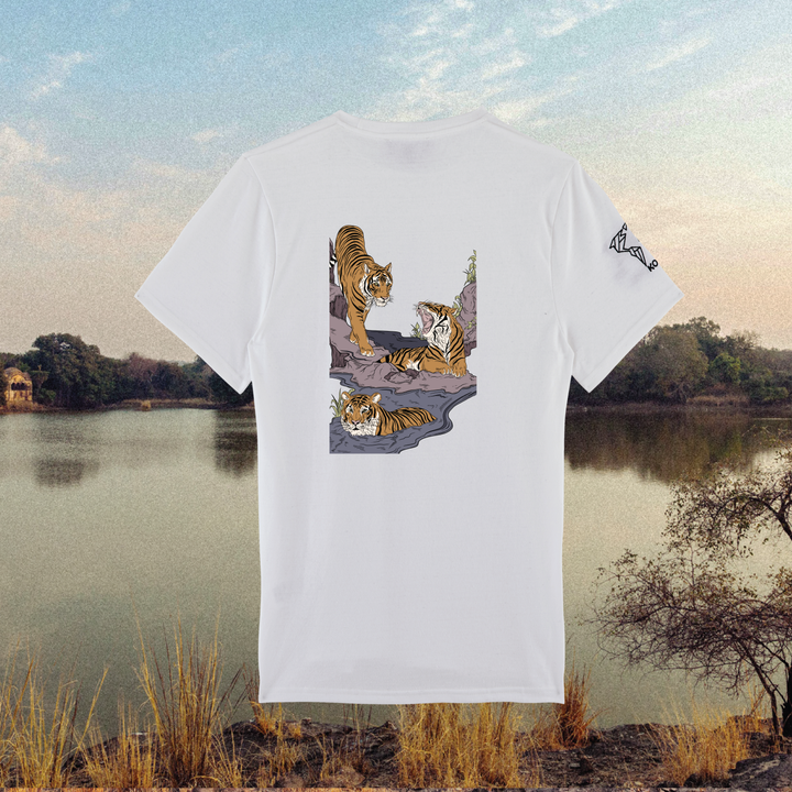 Parrot Fish • Wonders ✨ 