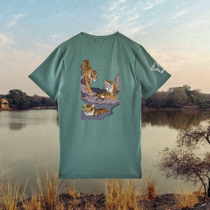 Parrot Fish • Wonders ✨ 