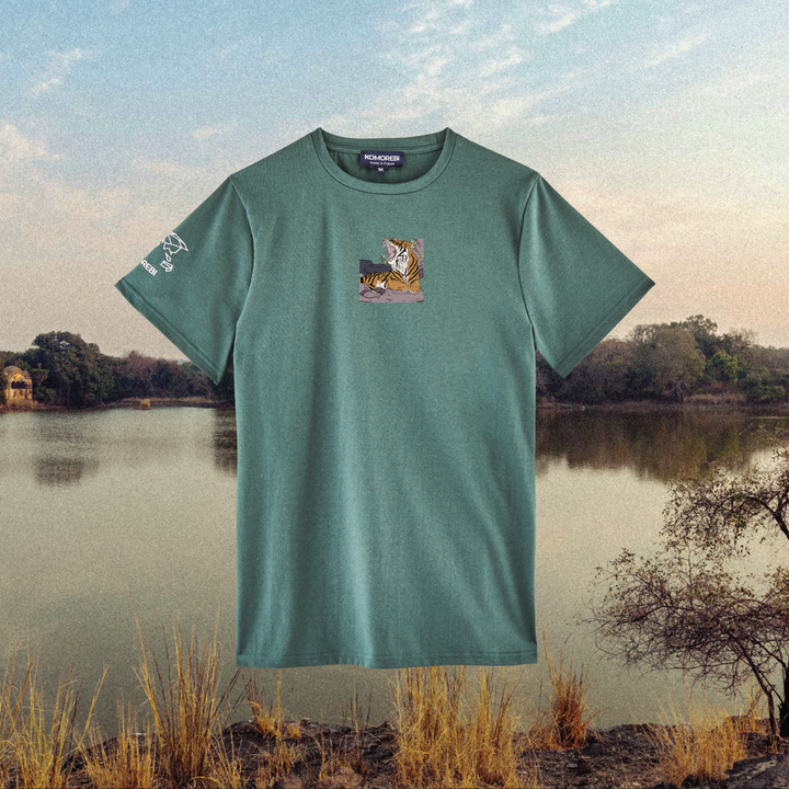 Parrot Fish • Wonders ✨ 