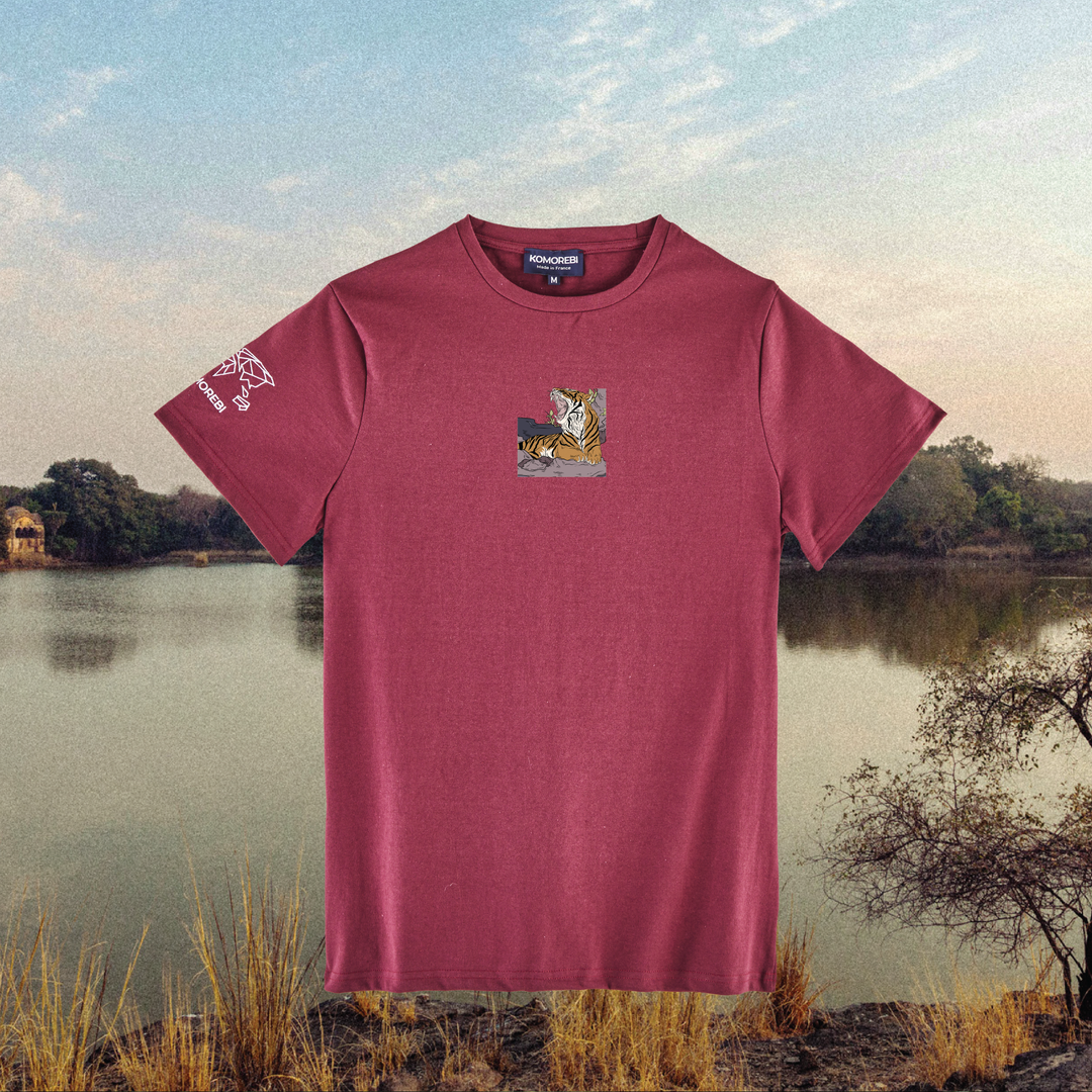 Parrot Fish • Wonders ✨ 