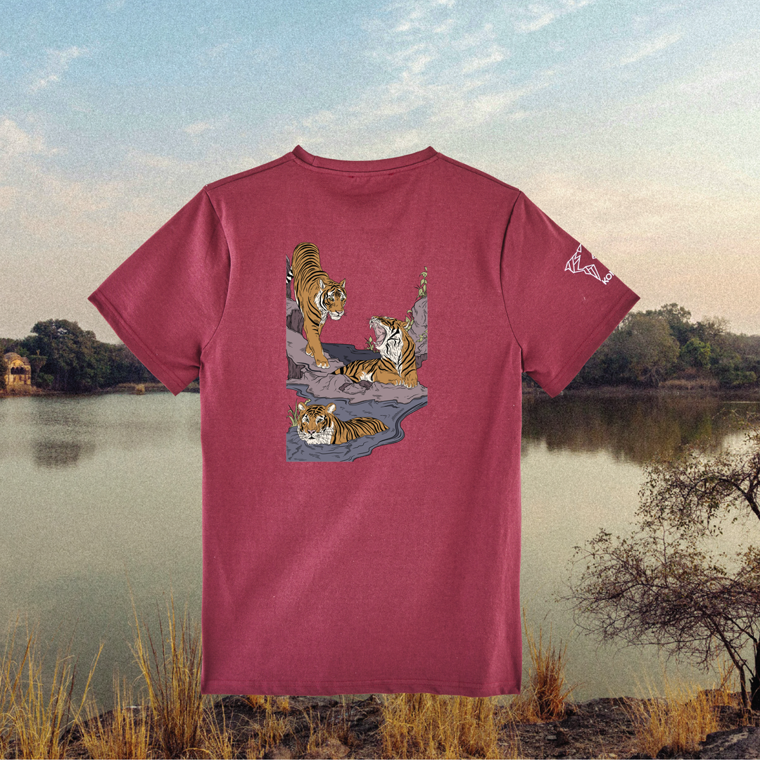 Parrot Fish • Wonders ✨ 