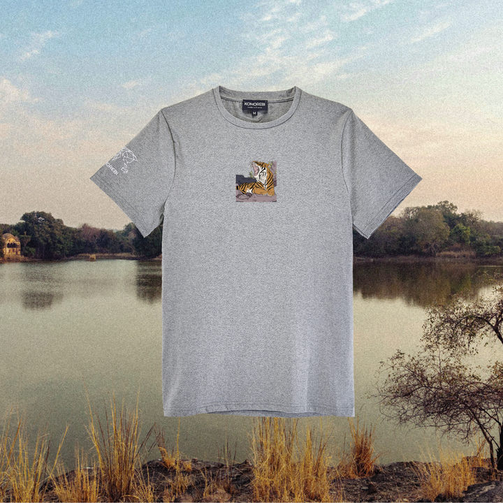 Parrot Fish • Wonders ✨ 