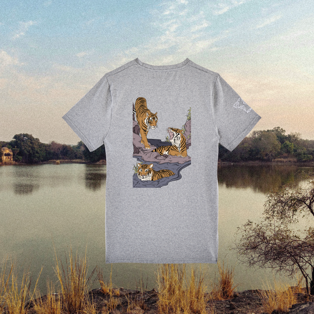 Parrot Fish • Wonders ✨ 