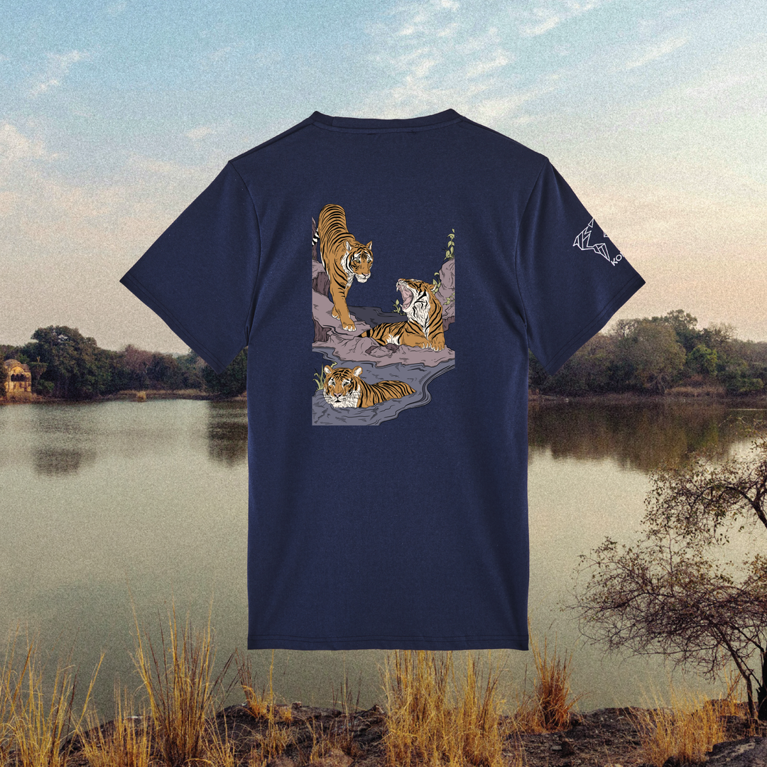 Parrot Fish • Wonders ✨ 