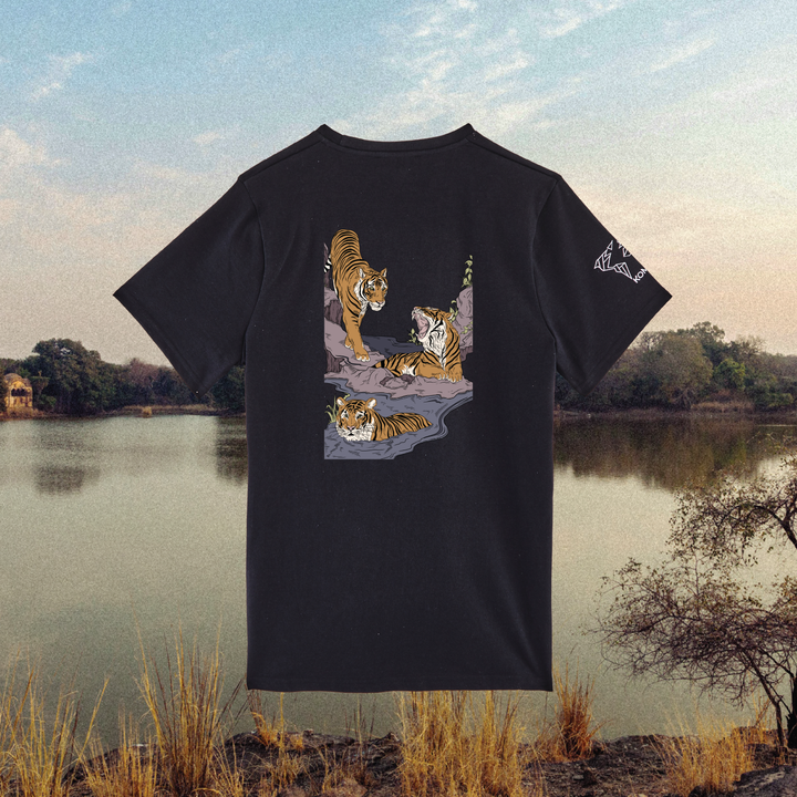 Parrot Fish • Wonders ✨ 