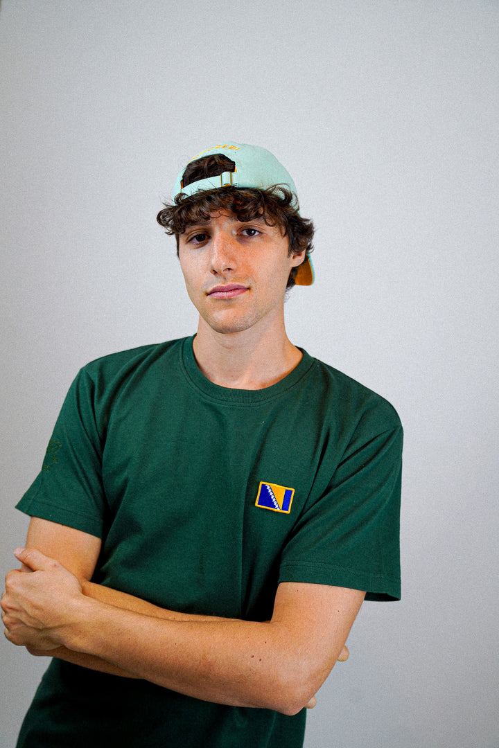 Camiseta de bandera de Bosnia y Herzegovina