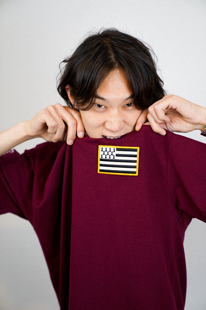 Bretagne • T-shirt drapeau