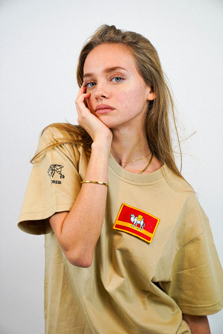 Chelyabinsk • T-shirt drapeau