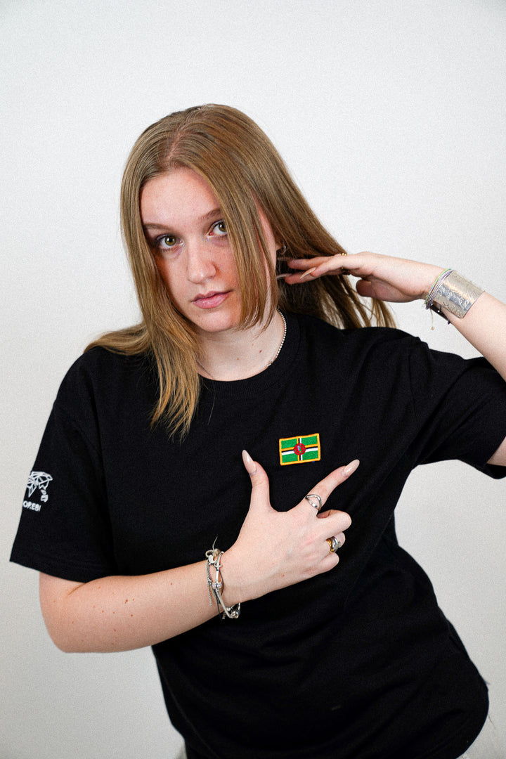 Dominique • T-shirt drapeau