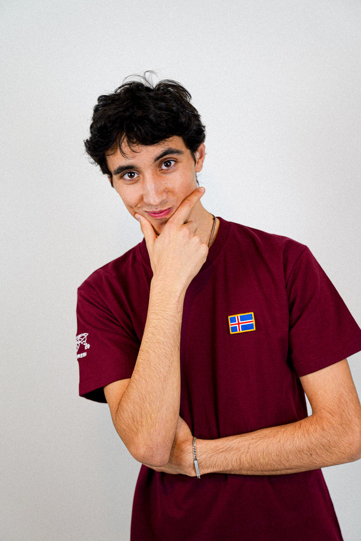 Islande • T-shirt drapeau