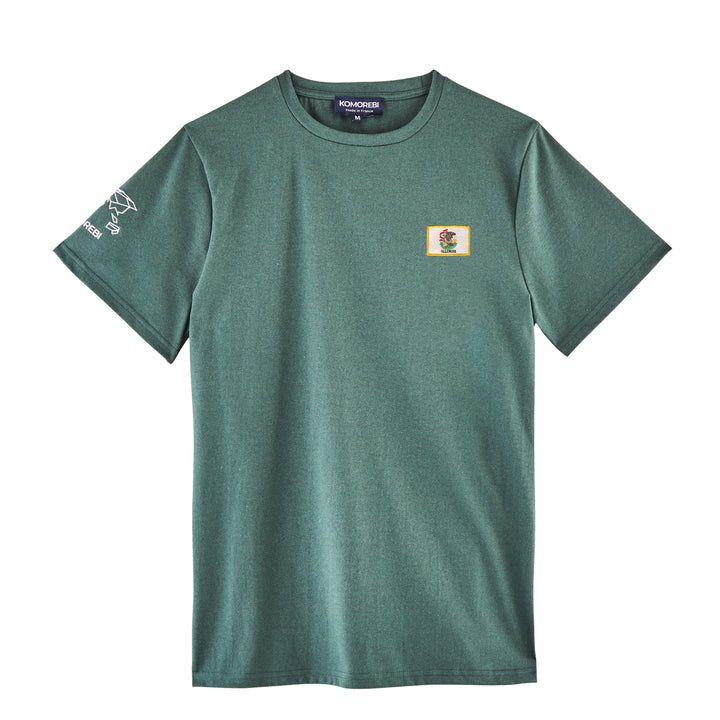 Illinois • T-shirt drapeau