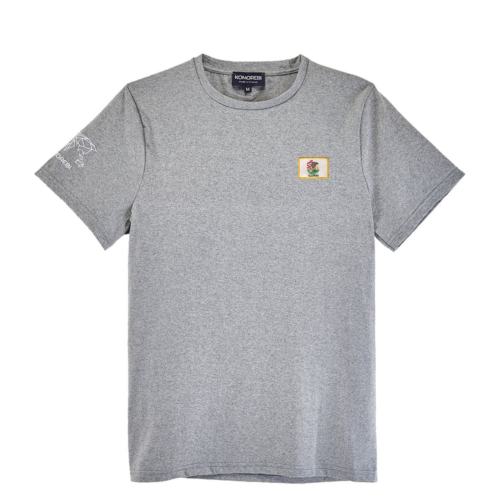 Illinois • T-shirt drapeau