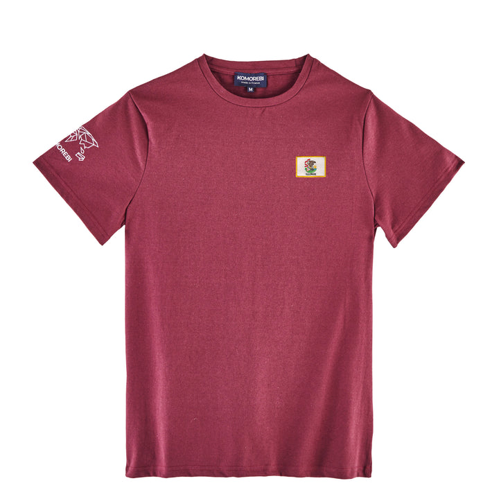 Illinois • T-shirt drapeau