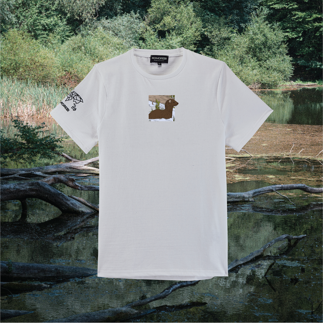 Parrot Fish • Wonders ✨ 