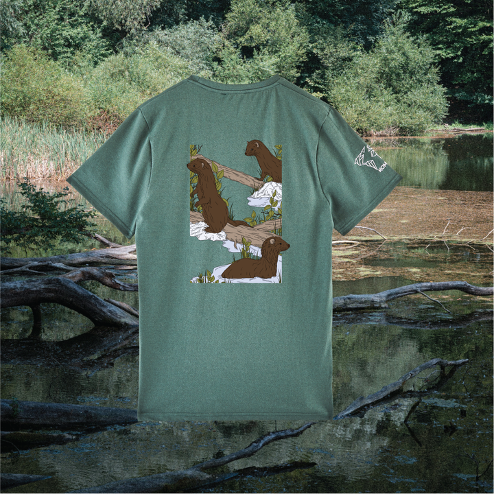 Parrot Fish • Wonders ✨ 