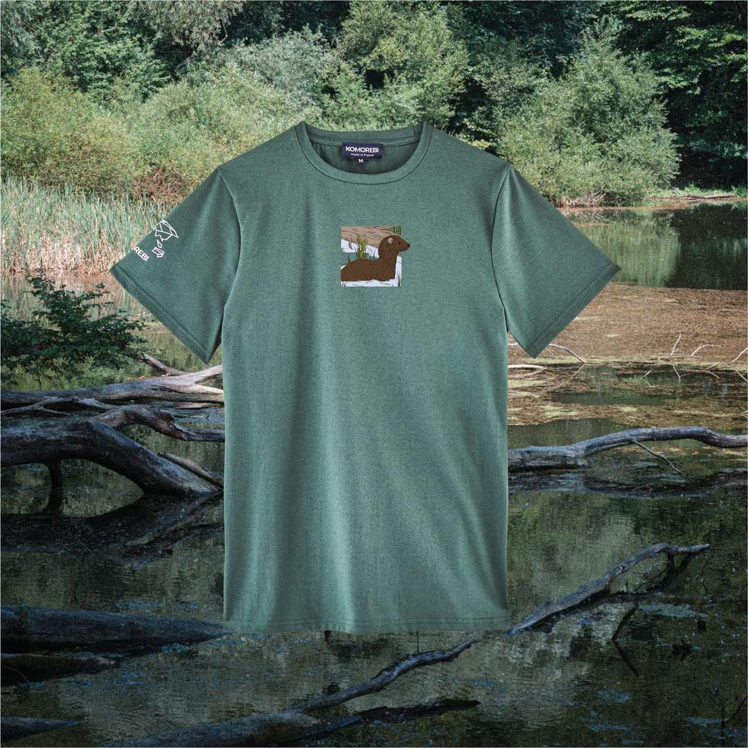 Parrot Fish • Wonders ✨ 