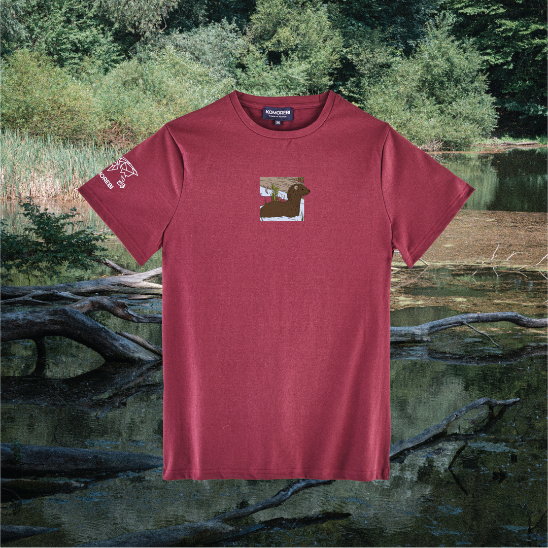 Parrot Fish • Wonders ✨ 