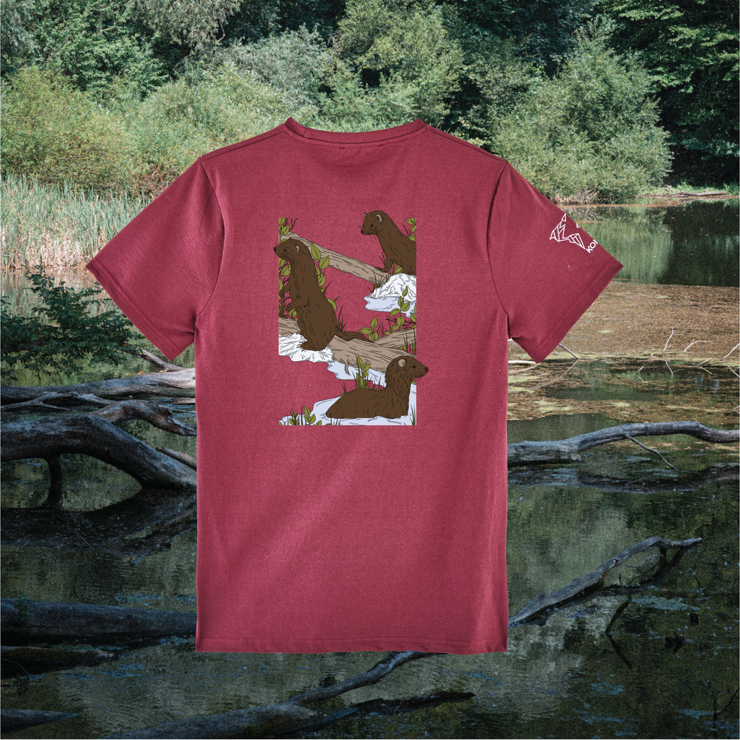 Parrot Fish • Wonders ✨ 