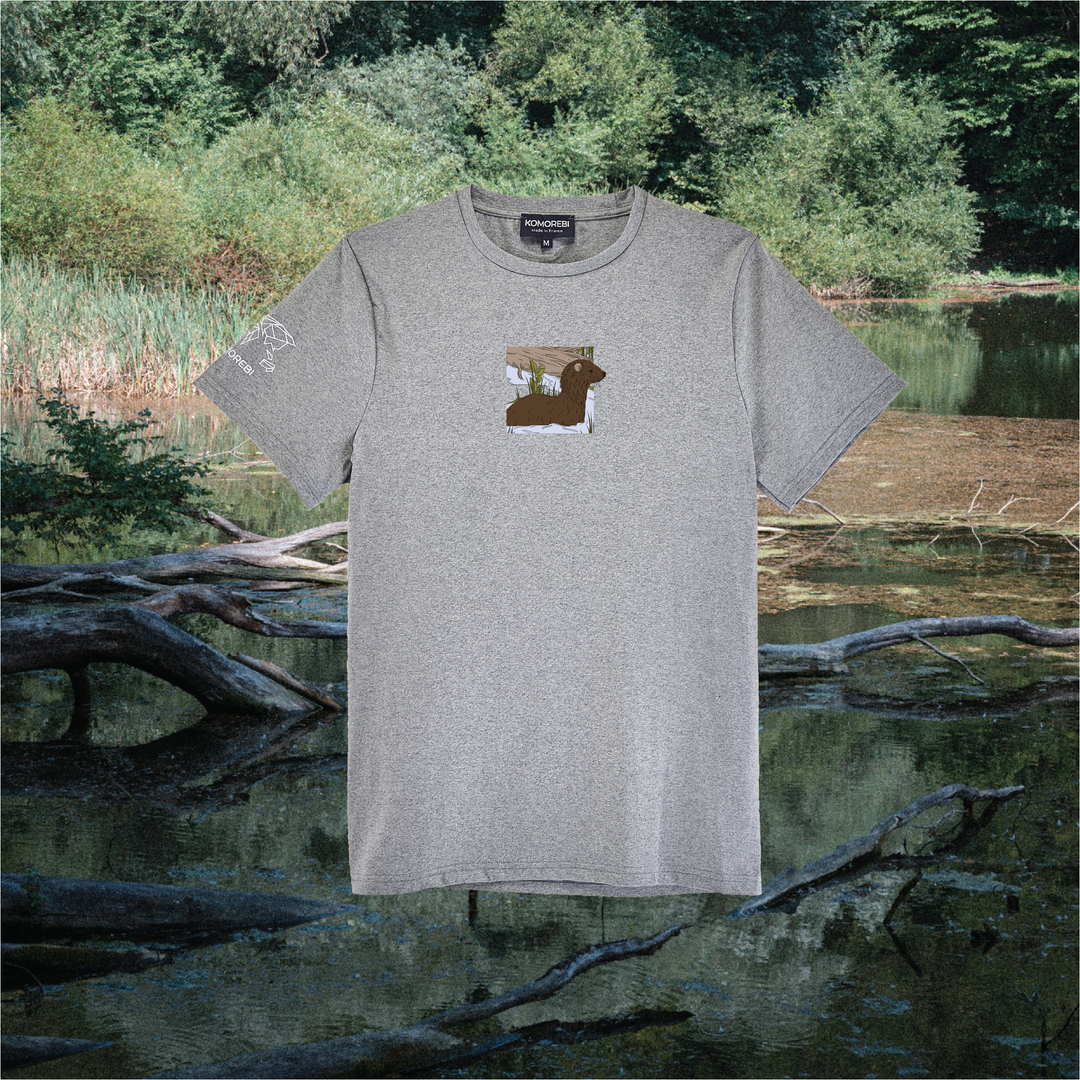 Parrot Fish • Wonders ✨ 