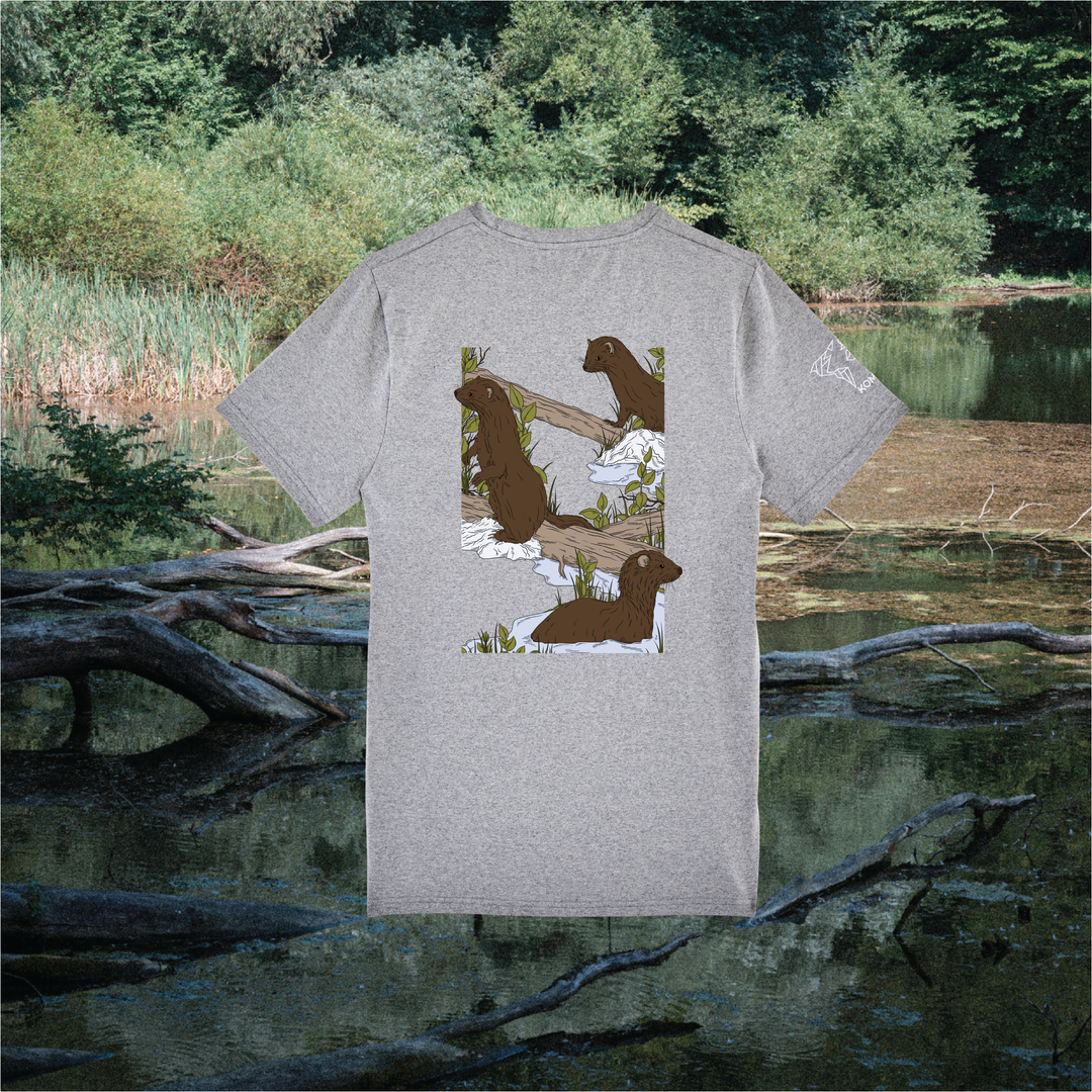 Parrot Fish • Wonders ✨ 