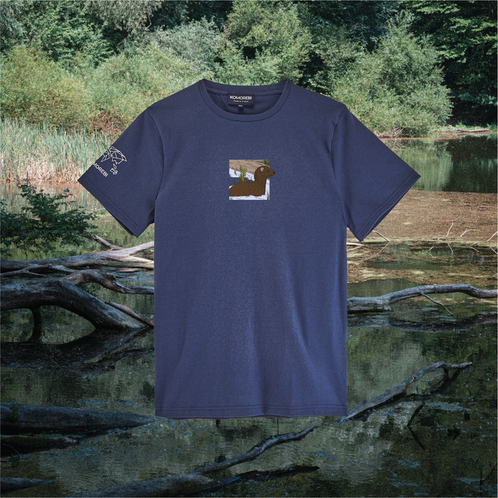 Parrot Fish • Wonders ✨ 