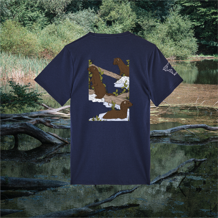 Parrot Fish • Wonders ✨ 