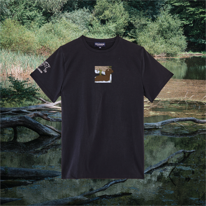 Parrot Fish • Wonders ✨ 