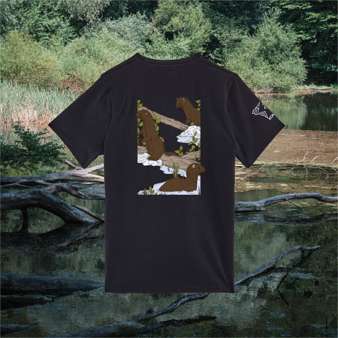 Parrot Fish • Wonders ✨ 