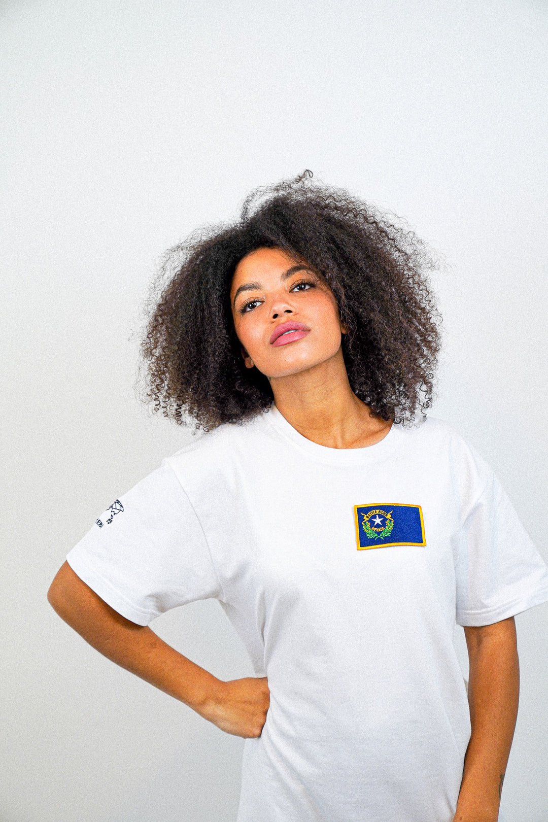 Nevada • T-Shirt mit Flagge