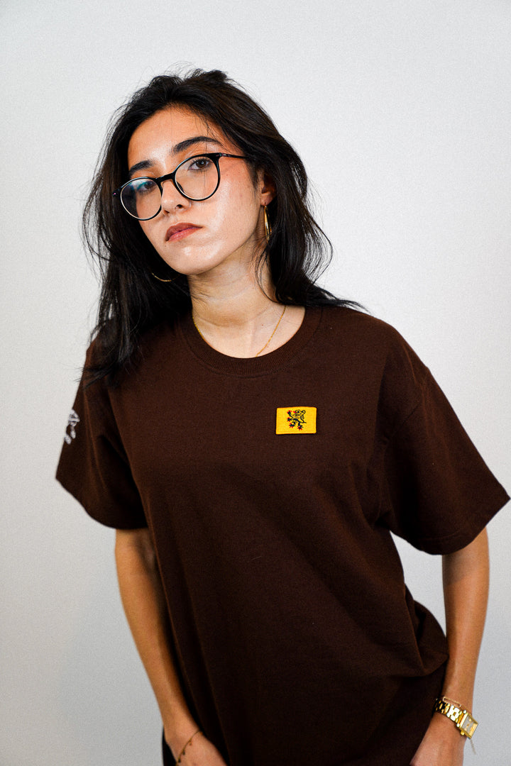 Nord-Pas-de-Calais • T-Shirt mit Flagge
