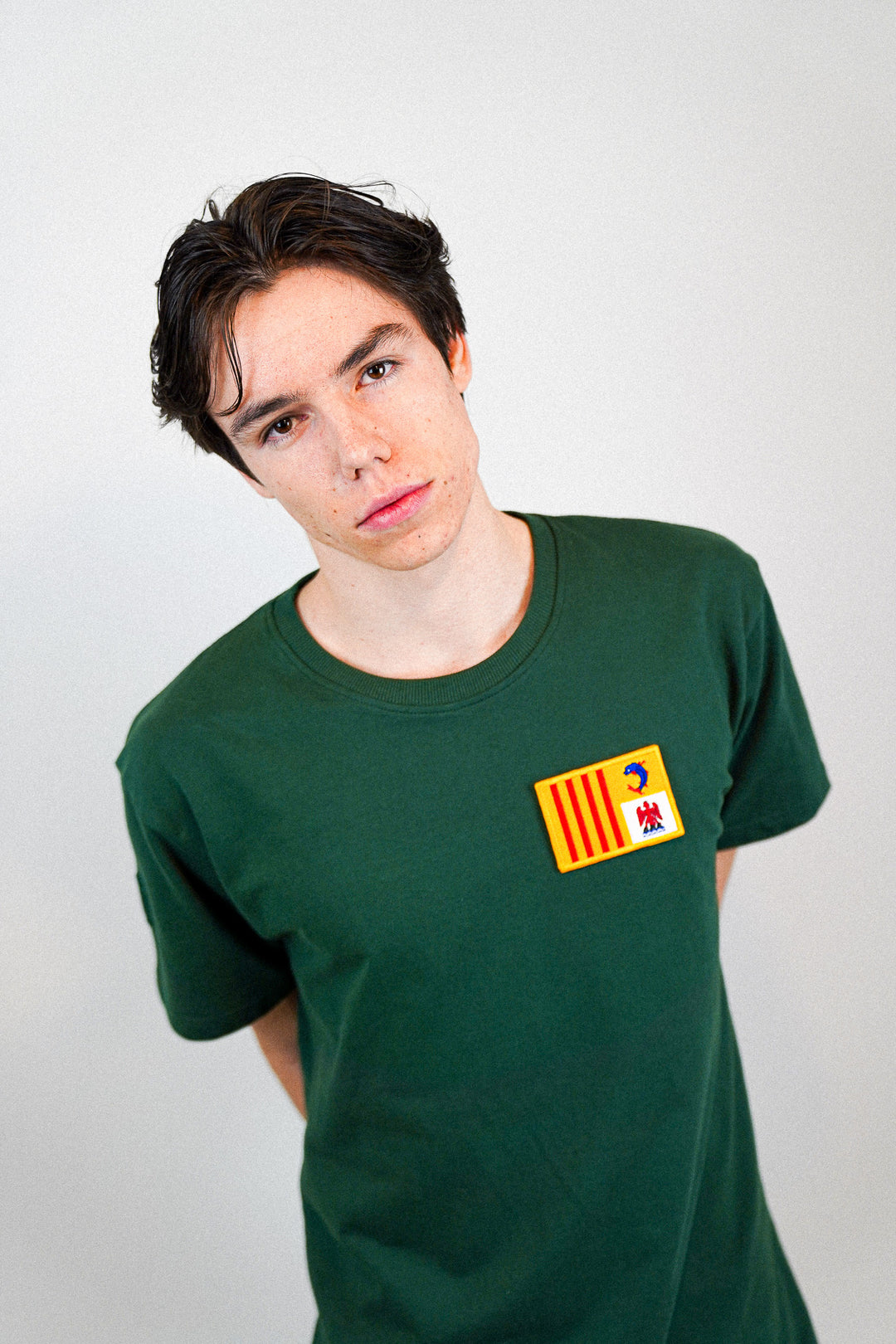 Provence Alpes Cote D'Azur • T-shirt mit Flagge