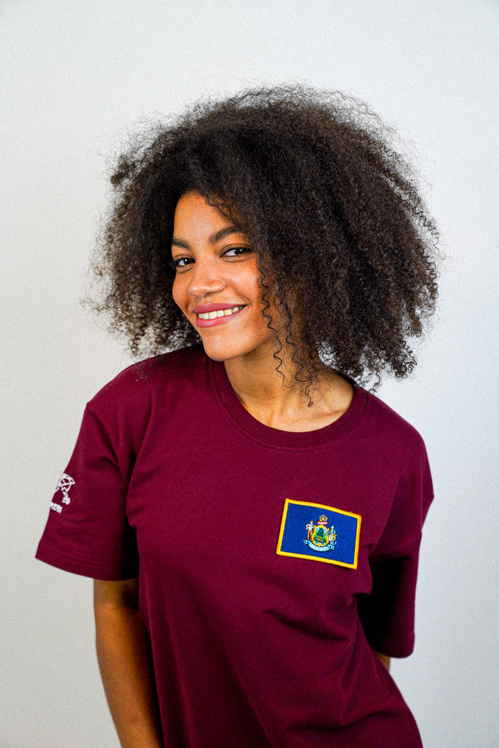 Pennsylvanie • T-Shirt mit Staatsflagge