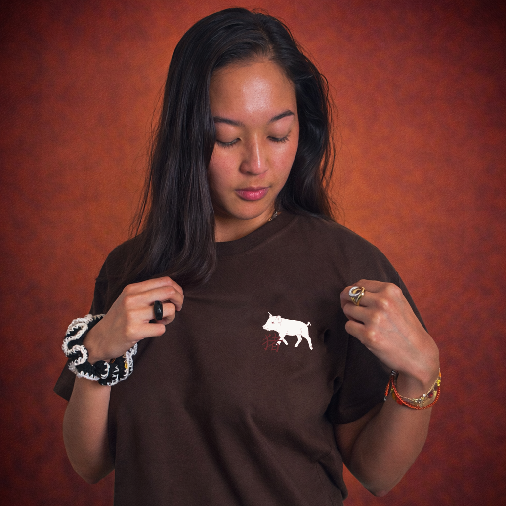 Antarctica • T-shirt