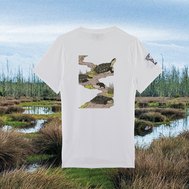 Parrot Fish • Wonders ✨ 