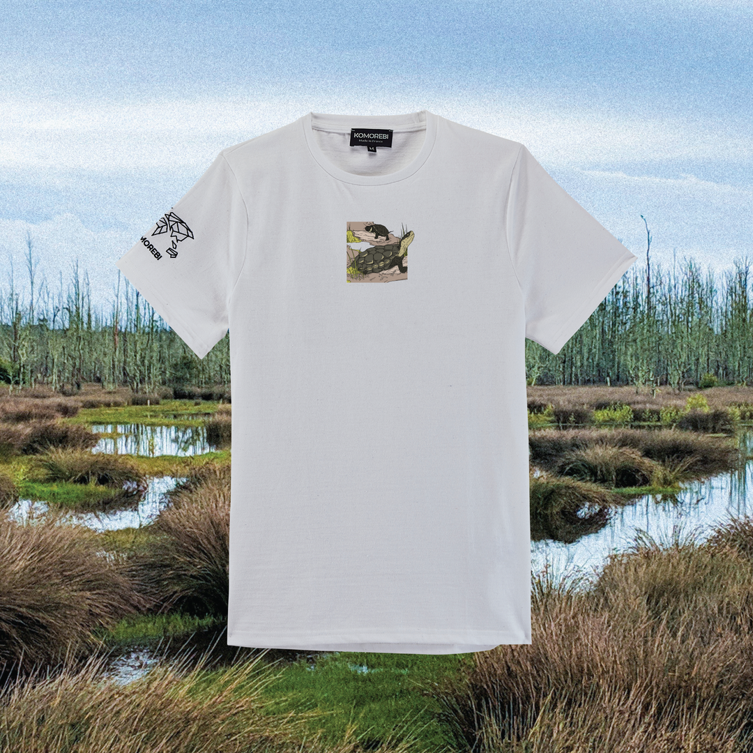 Parrot Fish • Wonders ✨ 