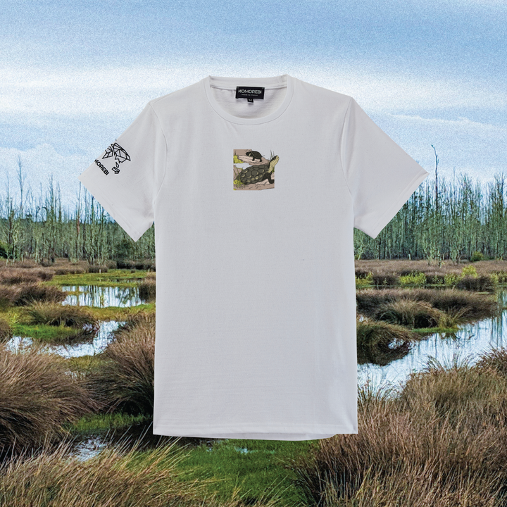 Parrot Fish • Wonders ✨ 