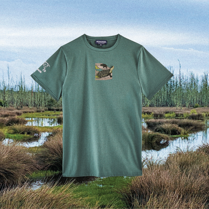 Parrot Fish • Wonders ✨ 