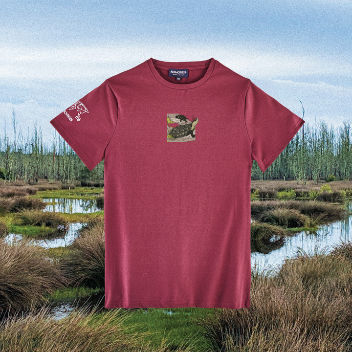 Parrot Fish • Wonders ✨ 