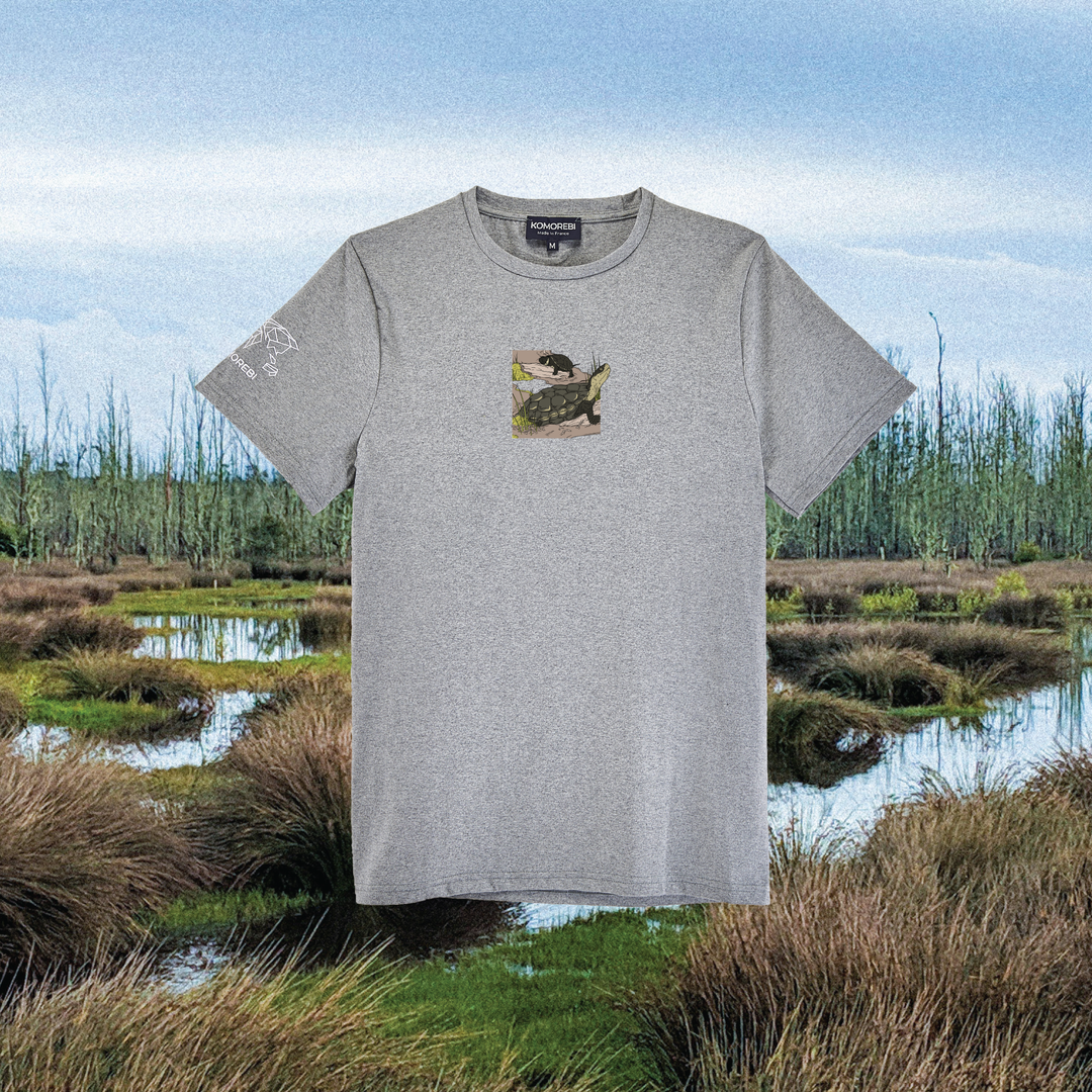 Parrot Fish • Wonders ✨ 