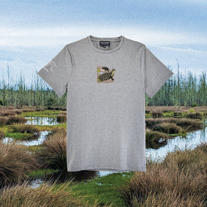 Parrot Fish • Wonders ✨ 