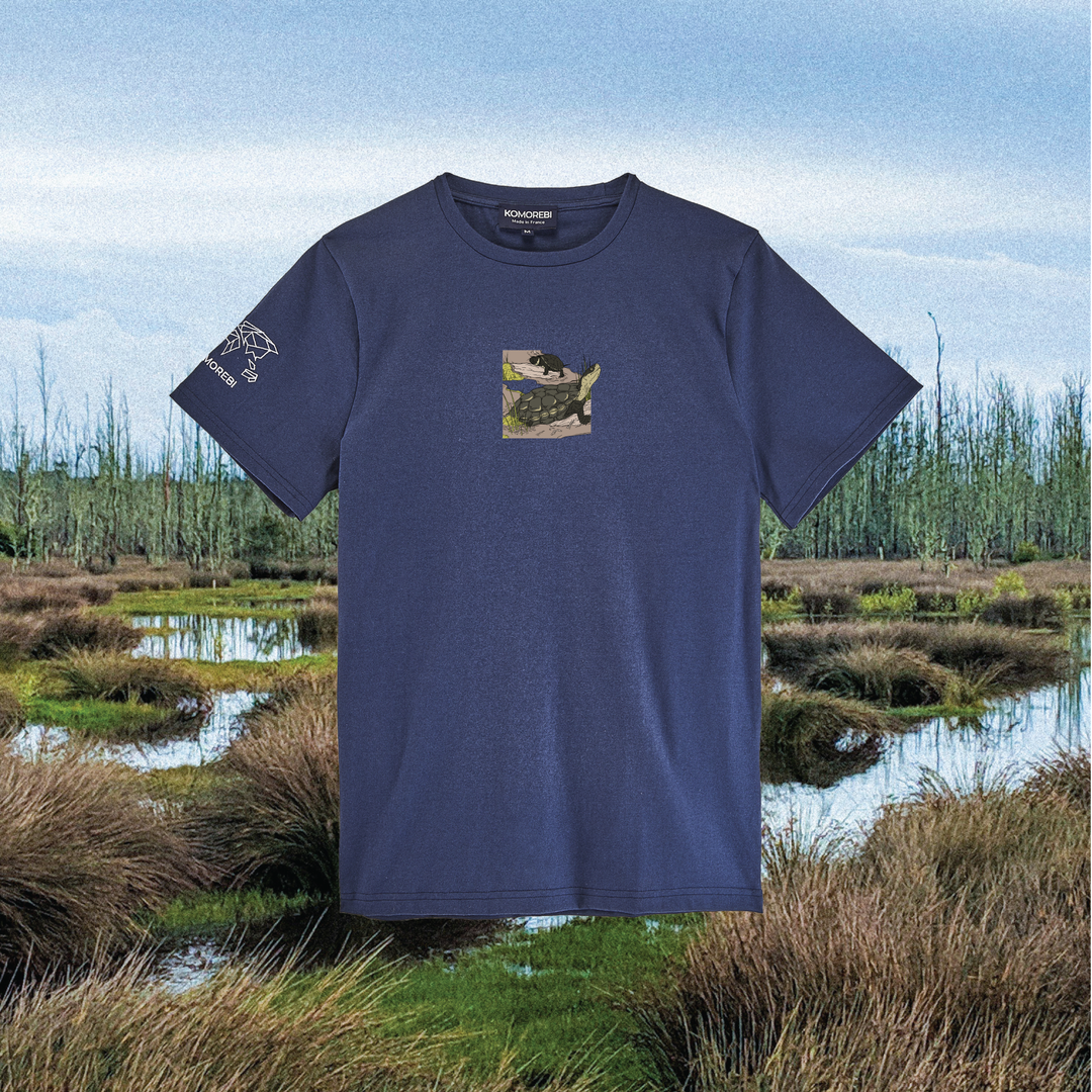 Parrot Fish • Wonders ✨ 