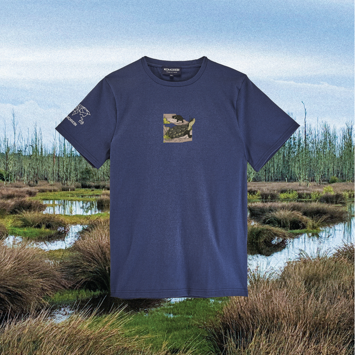 Parrot Fish • Wonders ✨ 